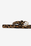 Tiffosi Cordoba Belt - Chocolate Brown