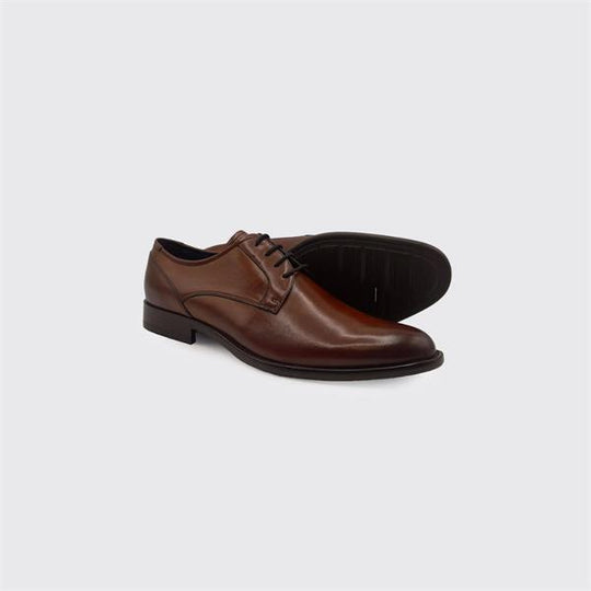 Dubarry Darrel Shoes - Brown