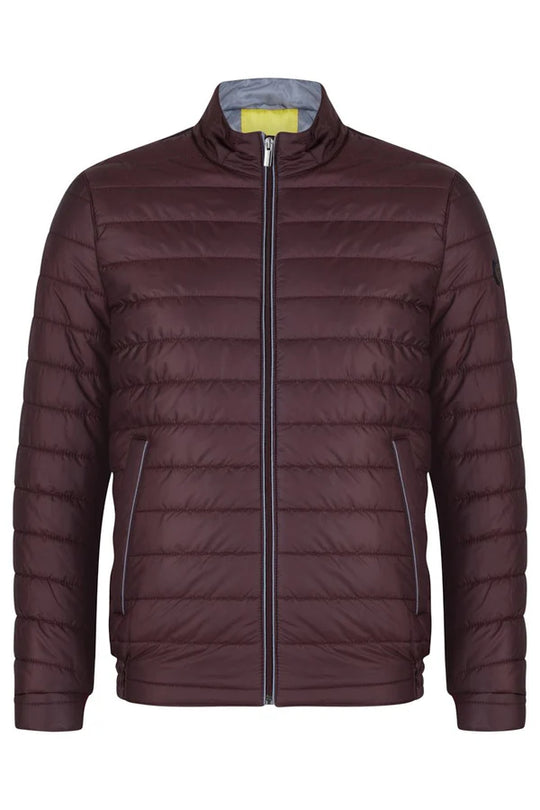 Benetti Berto Jacket - Burgundy