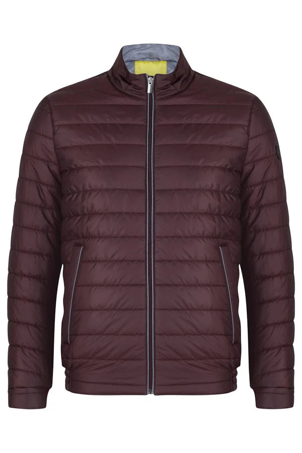 Benetti Berto Jacket - Burgundy