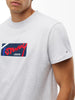 Tommy Jeans Reg Signature Tee - Ice Grey Heather
