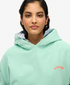 Superdry Essential Logo Hoodie - Spearmint Light Green