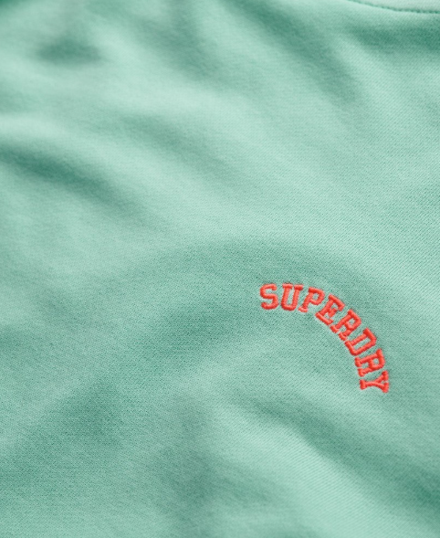 Superdry Essential Logo Hoodie - Spearmint Light Green