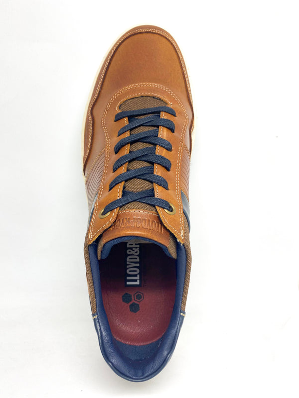 Tommy Bowe Lloyd & Pryce Ryan - Amber Strike [Size 12]