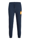 Jack & Jones Boys Gordon Lock Sweat Pants - Sky Captain