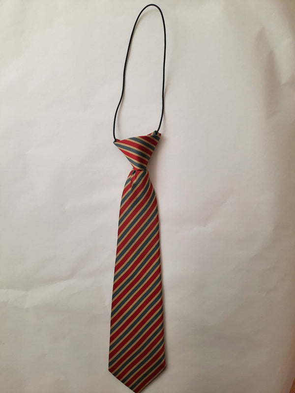 Gaelscoil Droichead na Banndan Elasticated Tie